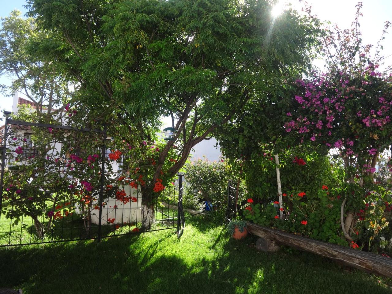 El Jardin De Su Merced B&B Sucre Bagian luar foto